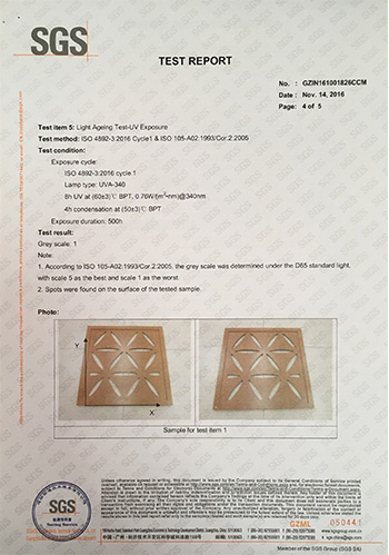 SGS CP65 test report(图4)